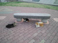 村口　カウントダウン 2011/03/05 11:59:00