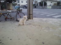 村口　ファサード 2011/02/18 19:13:52