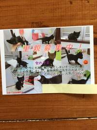 求む！家族