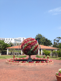 海洋博記念公園