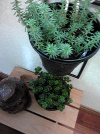 孫の県外出発 2013/05/05 19:28:55