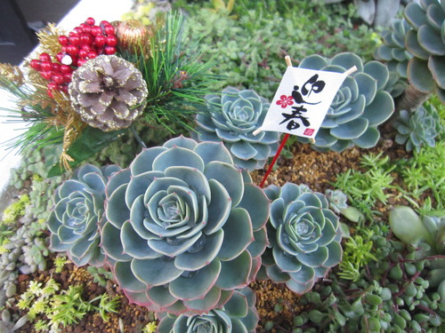 今年もよろしくお願いいたします。