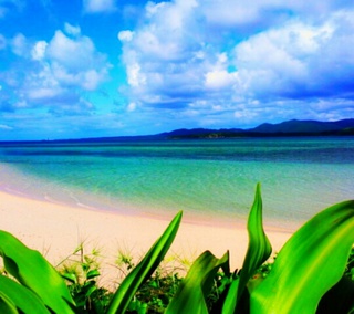 小浜島