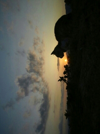 猫と夕日。 2013/05/04 10:33:01