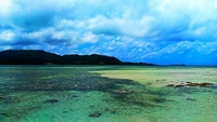 小浜島 2013/06/24 12:45:14