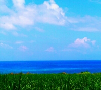 小浜島 2013/05/28 11:19:36