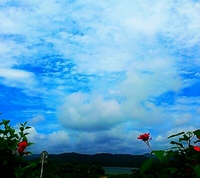 小浜島 2013/05/22 11:22:49