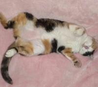 あー疲れた 2013/04/10 06:40:12