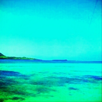 小浜島 2014/02/18 18:16:00