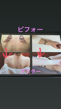 晴れ舞台悩む必要無し 2019/03/09 13:02:41