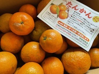 来た～ (^^♪ 2022/01/29 12:27:40