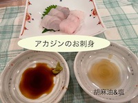 釣った魚のお裾分け♪ 2022/10/13 08:13:09