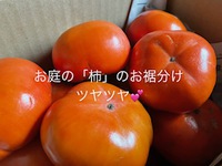 美味し物のお裾分け 2022/12/27 22:03:17
