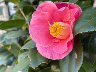 待ち遠しいな～