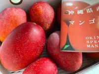 沖縄産の「マンゴー」最高❣ 2022/07/26 01:29:01