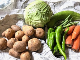 白州からの無農薬野菜