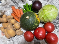 白州の無農薬野菜♪ 2022/09/01 10:00:07