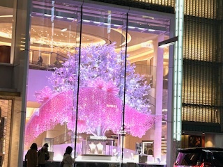 銀座も “桜色” (^^)v