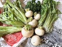 初収穫・無農薬野菜 2024/05/26 10:48:27