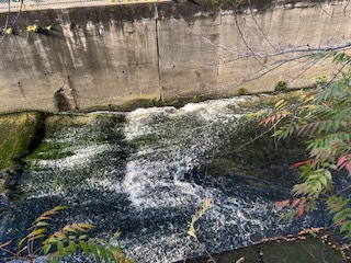 大人の遠足〈江戸更紗体験〉