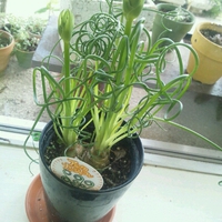 今日も頑張ってます。 2014/03/06 10:40:17