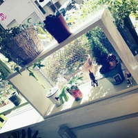 できた♪ 2014/01/23 11:56:09