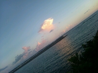 夏ですね♪ヽ(´▽｀)/ 2013/07/07 19:45:13