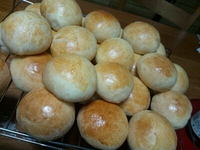 もう。。11月後半。 2014/11/20 11:59:50