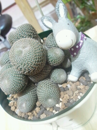 ウフフ♪ 2013/05/14 12:55:58