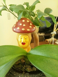 梅雨だね… 2013/05/16 10:57:03