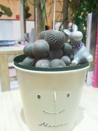 ３月。。。 2013/03/31 01:34:13