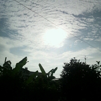おはようございます(｡・・｡) 2014/09/14 09:19:40