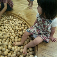 5月9日の記事 2014/05/09 14:48:39