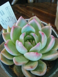 心配事。。 2013/02/04 03:21:27