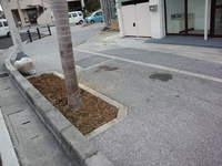 道路清掃 2013/04/03 15:03:11