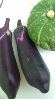 野菜たち 2011/06/16 10:52:03