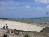 伊計島！ 2012/04/20 22:58:23