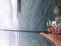 こないだ 2012/05/31 17:57:21