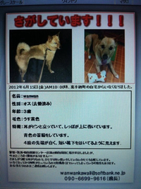 愛犬さがしています！ 2012/06/19 22:41:31