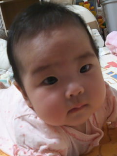 夕食(o^v^o)