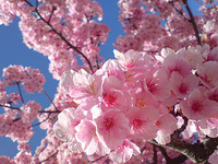 初☆投稿　Hi,everyone! 2012/04/23 00:09:30