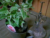 緑化 2009/09/22 22:19:21