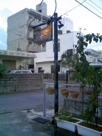 元気だよー 2009/09/26 14:05:37