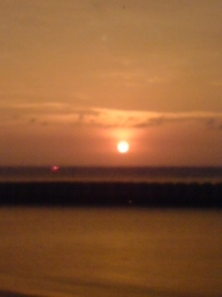 台風後…

 2011/08/09 07:26:12