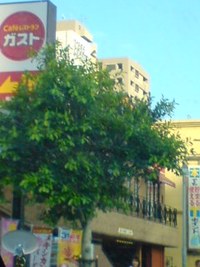 遅いランチ？ 2012/03/25 18:45:27