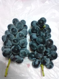 ラッキー♪ 2012/09/26 21:39:39