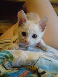 ニータン絶好調♪ 2012/09/29 18:59:41
