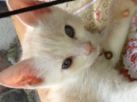 車大好き♪ 2012/10/08 16:14:54