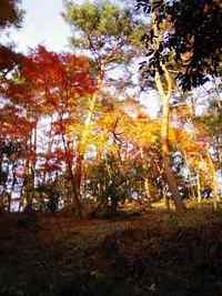 松島　扇谷にて・・・ 2006/12/02 08:49:00