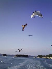 船上から・・・♪ 2007/01/04 14:37:36